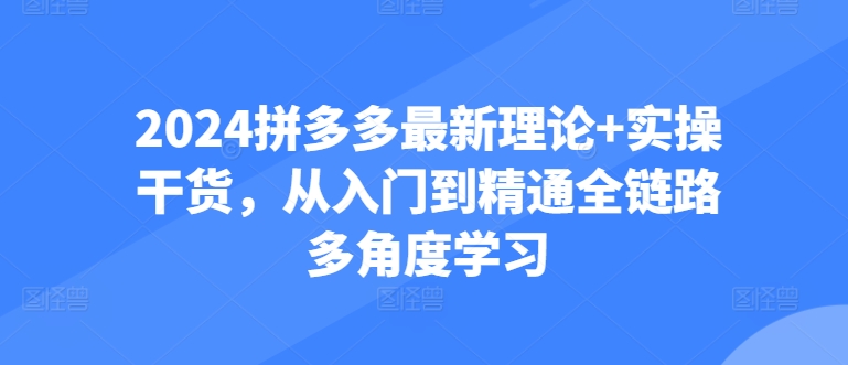 2024拼多多最新理论+实操干货，从入门到精通全链路多角度学习-酷吧易资源网