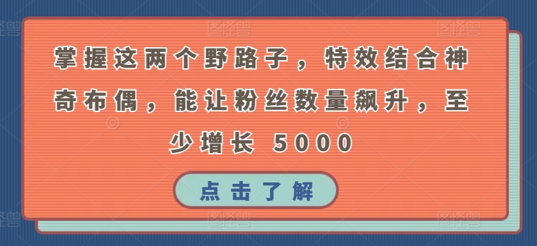 掌握这两个野路子，特效结合神奇布偶，能让粉丝数量飙升，至少增长 5000-酷吧易资源网