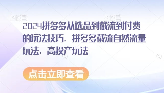 2024拼多多从选品到截流到付费的玩法技巧，拼多多截流自然流量玩法，高投产玩法-酷吧易资源网