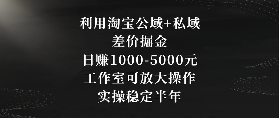 利用淘宝公域+私域差价掘金，日赚1000-5000元，工作室可放大操作，实操…-酷吧易资源网