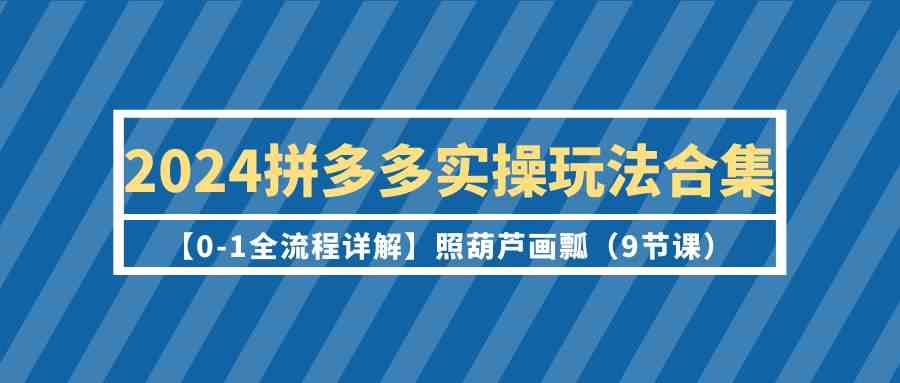 （9559期）2024拼多多实操玩法合集【0-1全流程详解】照葫芦画瓢（9节课）-酷吧易资源网