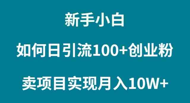 （9556期）新手小白如何通过卖项目实现月入10W+-酷吧易资源网