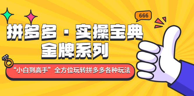 拼多多·实操宝典：金牌系列“小白到高手”带你全方位玩转拼多多各种玩法-酷吧易资源网