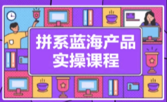 拼系冷门蓝海产品实操课程，从注册店铺到选品上架到流量维护环环相扣-酷吧易资源网